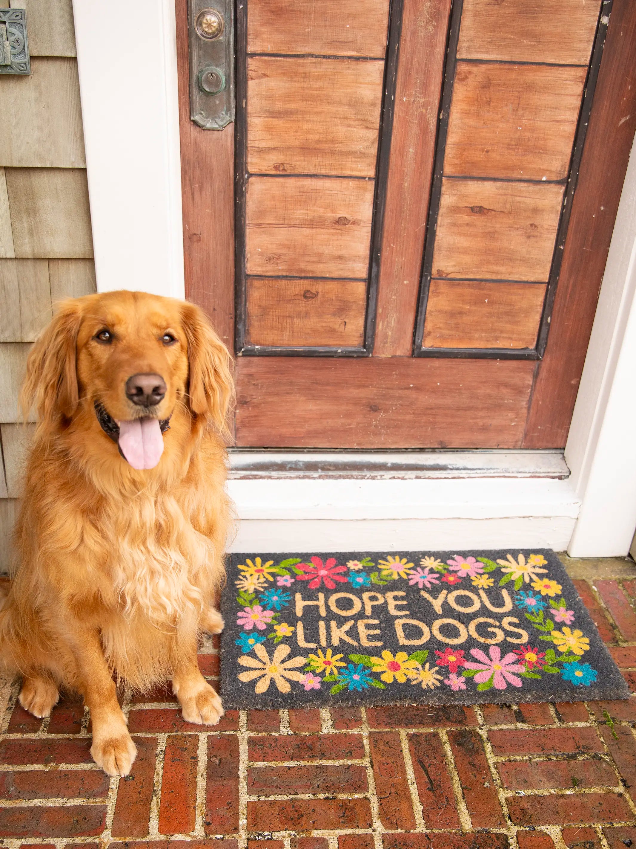 趣味・スポーツ・実用 ART PLASTIC: DESIGNED FOR LIVING Bungalow Doormat - Like Dogs Black – Natural Life