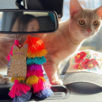 Cat looking at a colorful tassel and air freshener in a car.
