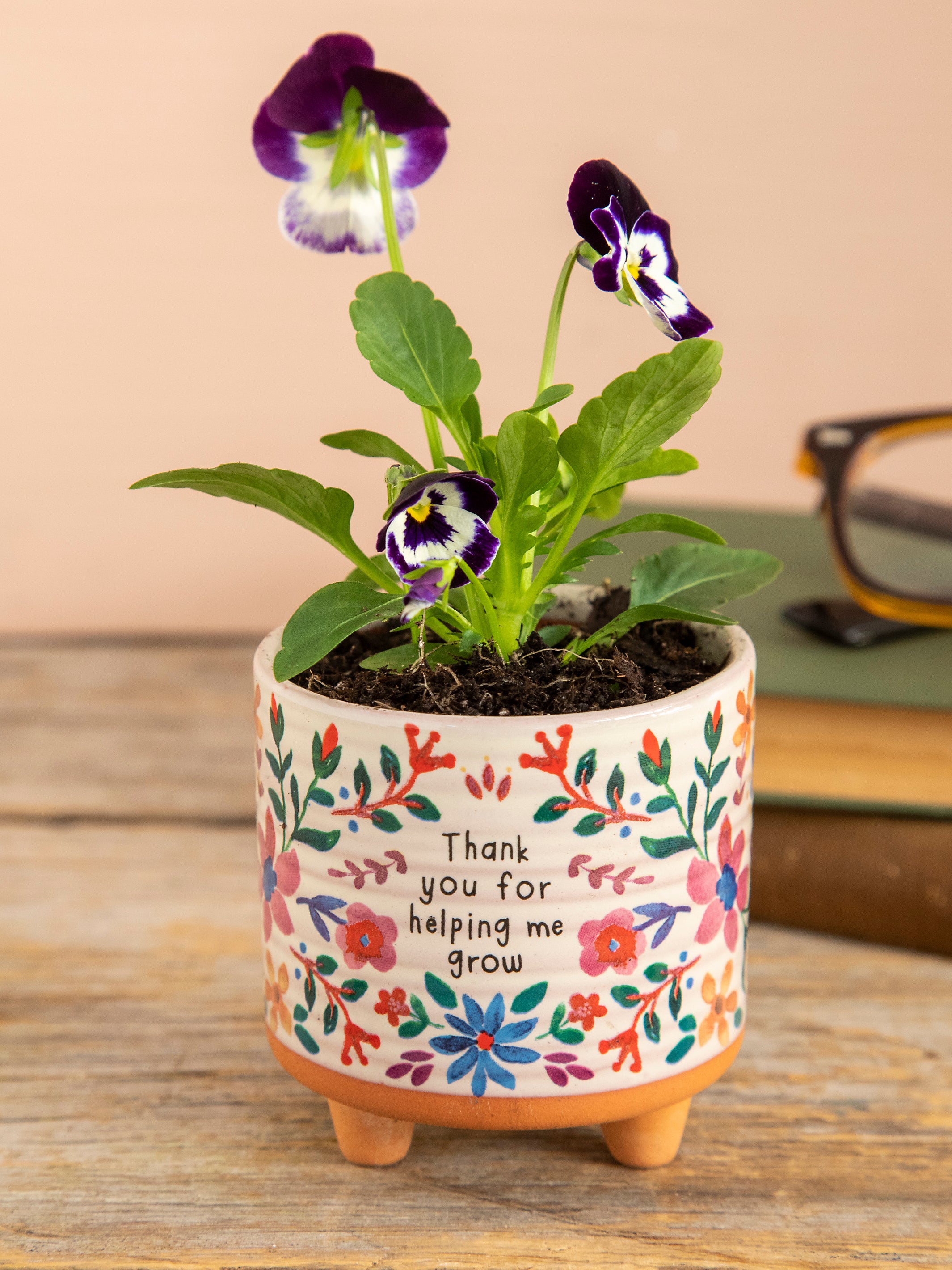 pot for plant near me Mini Artisan Planter